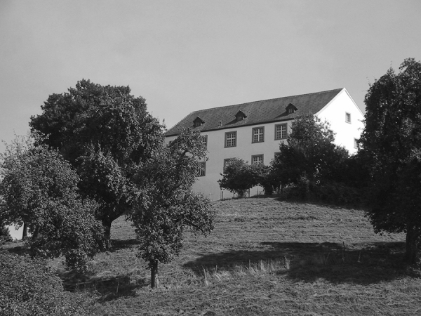 Sanierung Johanniterkommende, Reiden